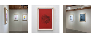 Julie Bellavance, artiste lithographe, dessin contemporain sur pierre, impression sur papier BFK Rives blanc, encadrement en érable naturel par Atelier 27 x 27