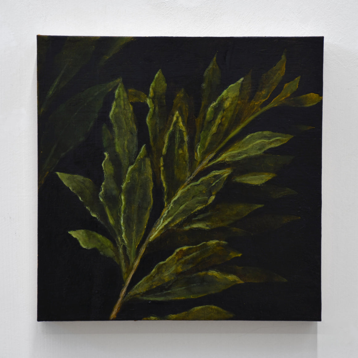 After Giorgione, par Émile Brunet. Étude des feuilles de Laurier extraites du tableau Laura de Giorgione. Huile sur bois, 12” x 12”, 2020.