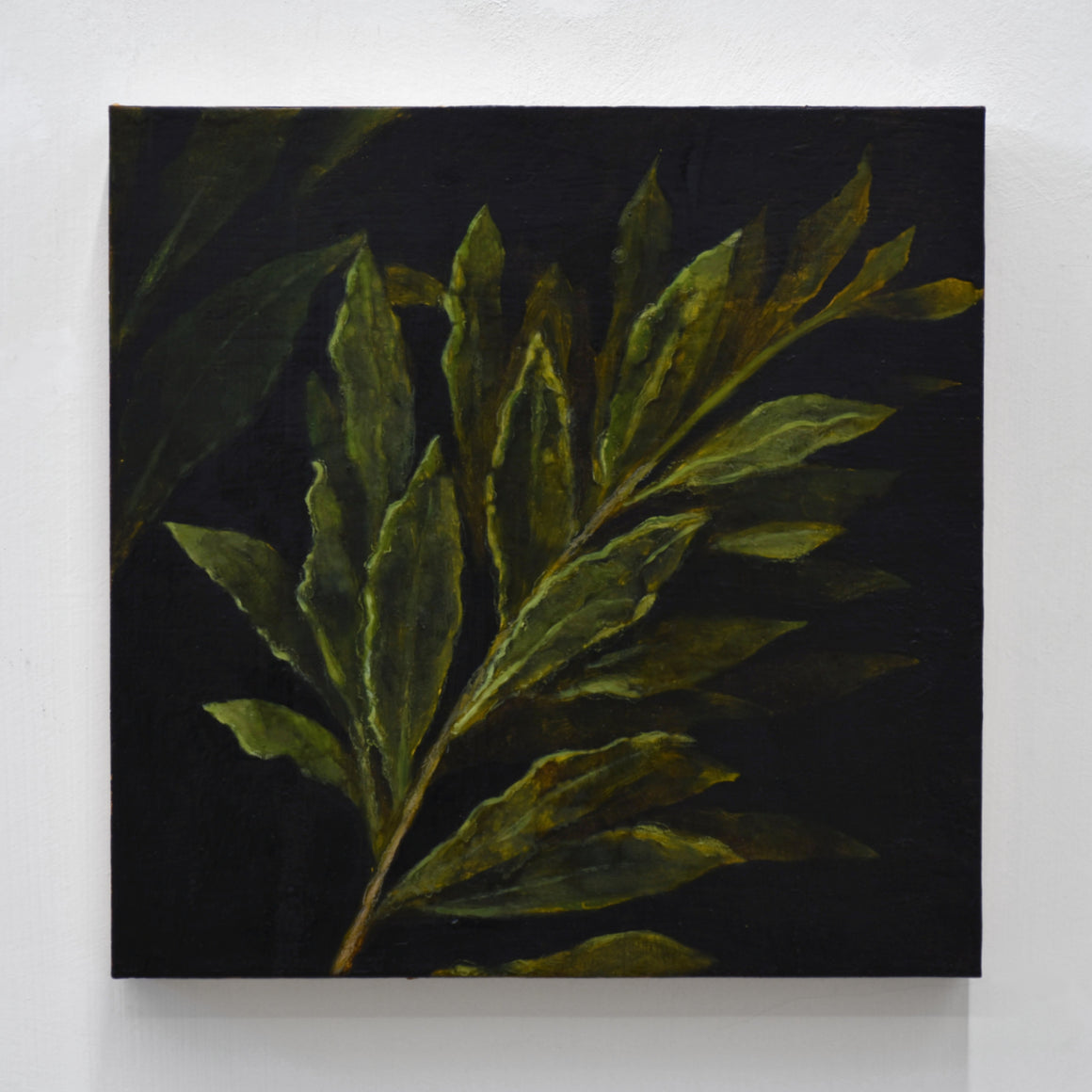 After Giorgione, par Émile Brunet. Étude des feuilles de Laurier extraites du tableau Laura de Giorgione. Huile sur bois, 12” x 12”, 2020.