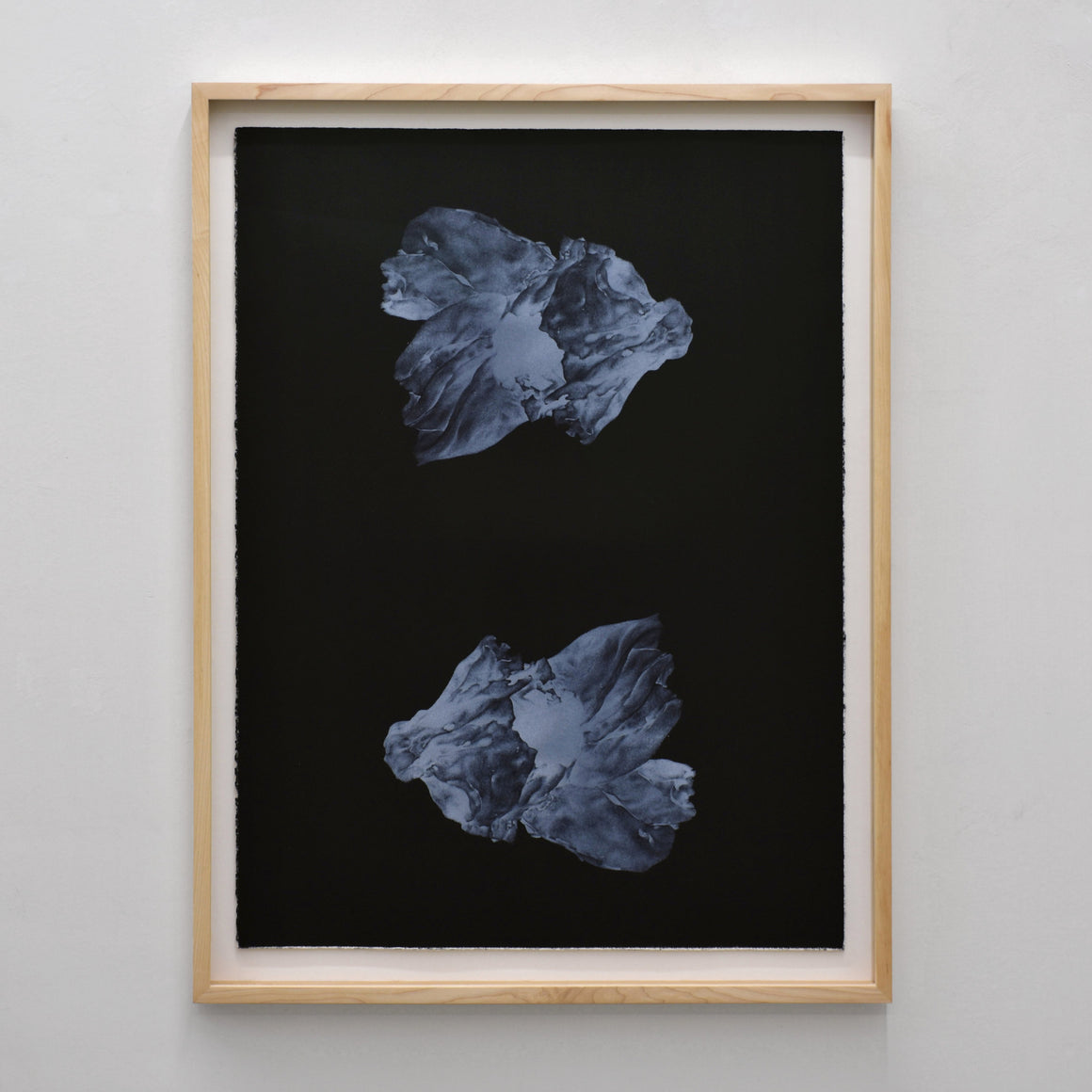 Lithographie de Julie Bellavance, deux balanes blanches sur fond noir, encadrement en érable