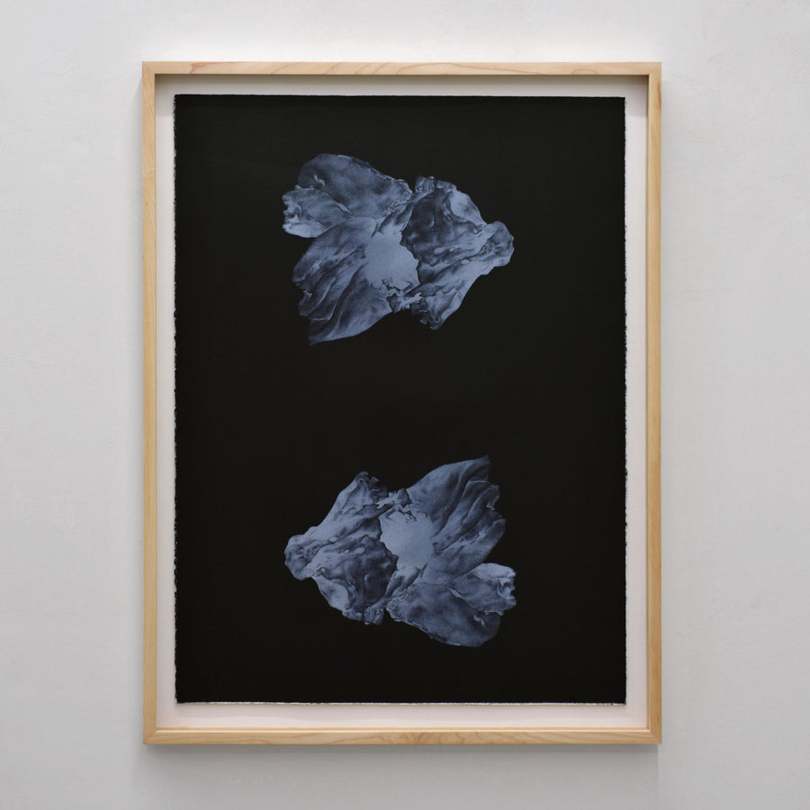 Lithographie de Julie Bellavance, deux balanes blanches sur fond noir, encadrement en érable