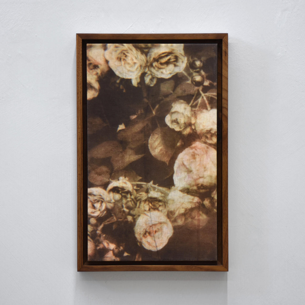 Brûlots, par Caroline Bolieu. Hommage à Chloé Sainte-Marie. Impression sur toile, tirage unique. Composition florale nostalgique. Cadre en noyer.