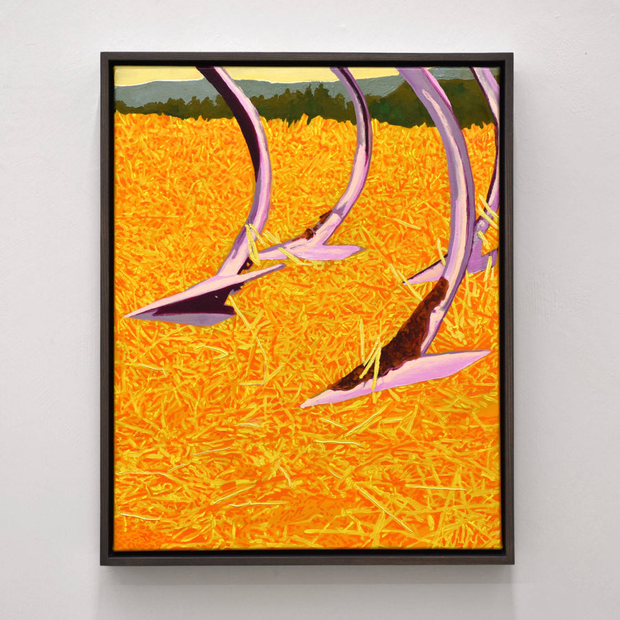 Byebye chiendent - 16" x 20"