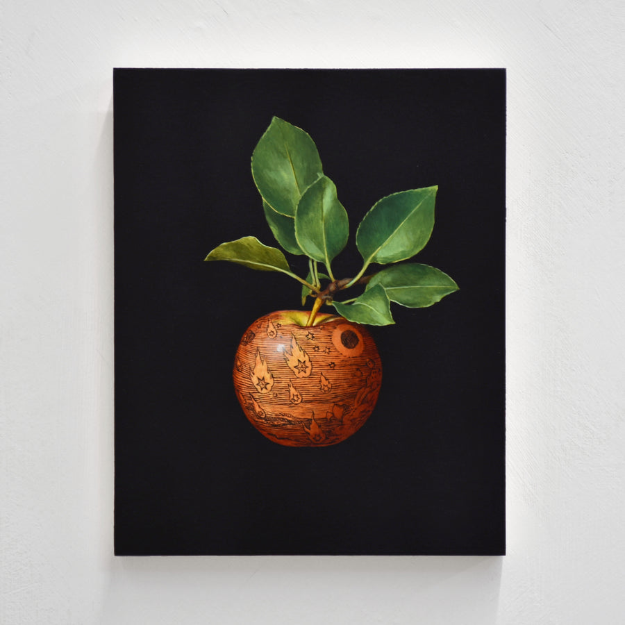 Fruit Skin n° 10 — 8” x 10”