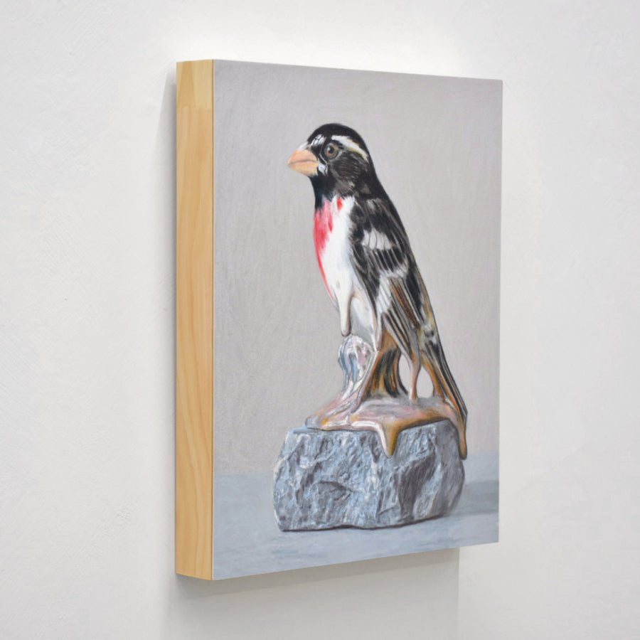 Dessin réalisé aux crayons de couleur par Pierre Durette et présenté dans le cadre de son exposition « Marécage ». Un cardinal à poitrine rose en porcelaine sur une pierre.