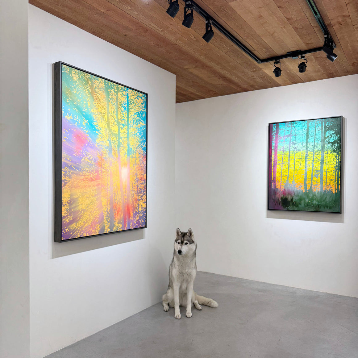 Notre mascotte aux côtés des oeuvres de Josiane Lanthier, des tableaux de forêts lumineuses.