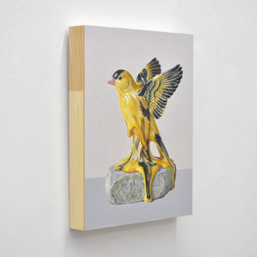 Dessin réalisé aux crayons de couleur par Pierre Durette et présenté dans le cadre de son exposition « Marécage ». Un chardonneret jaune fondant sur une pierre.