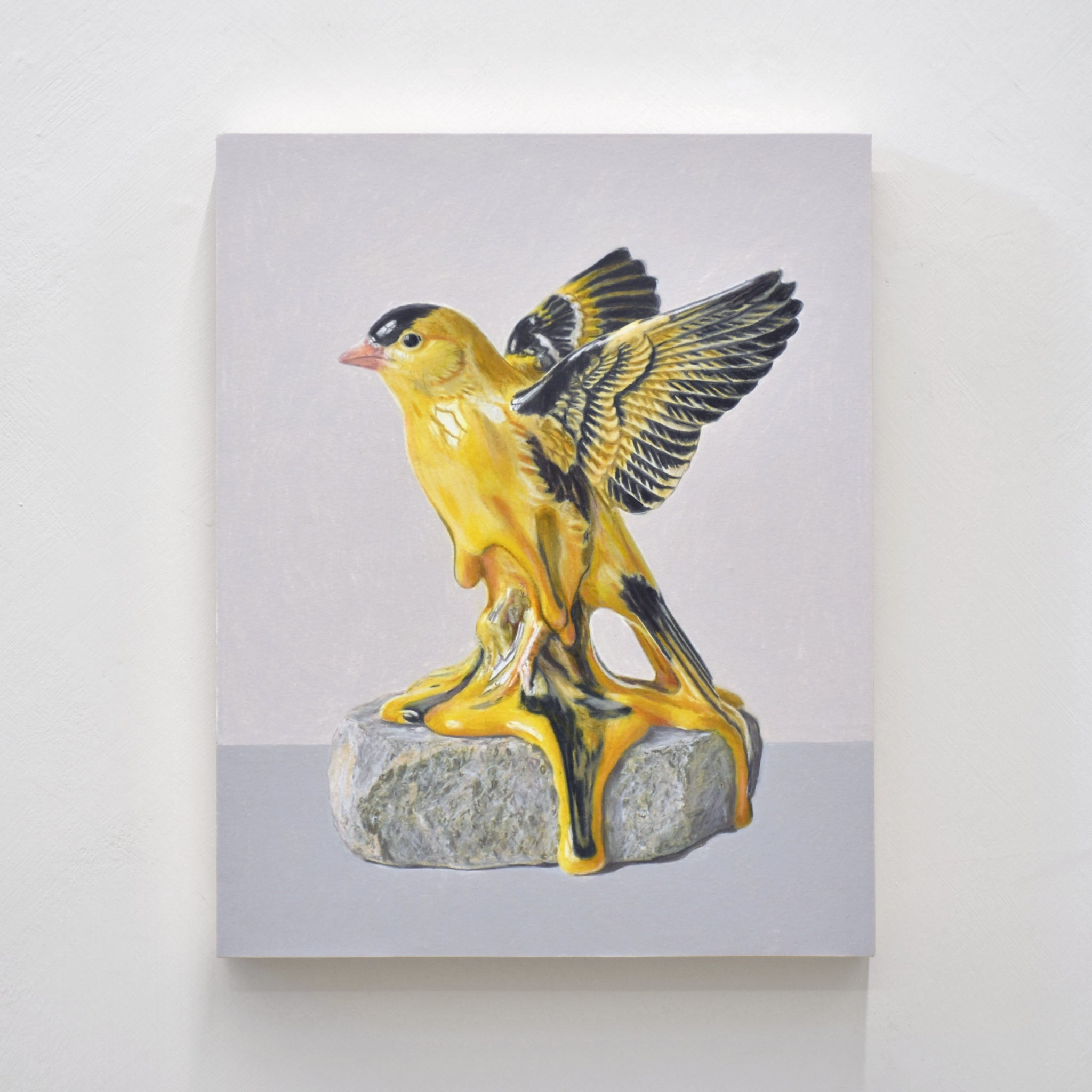 Dessin réalisé aux crayons de couleur par Pierre Durette et présenté dans le cadre de son exposition « Marécage ». Un chardonneret jaune fondant sur une pierre.