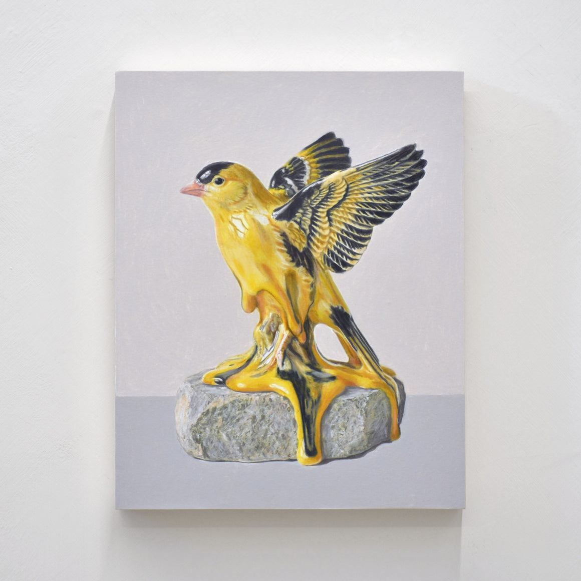 Dessin réalisé aux crayons de couleur par Pierre Durette et présenté dans le cadre de son exposition « Marécage ». Un chardonneret jaune fondant sur une pierre.
