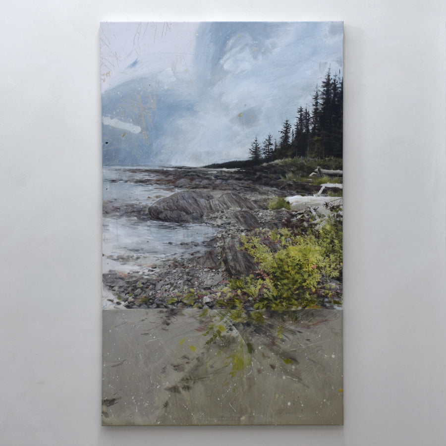 Polentille ansérine - 36” x 60”