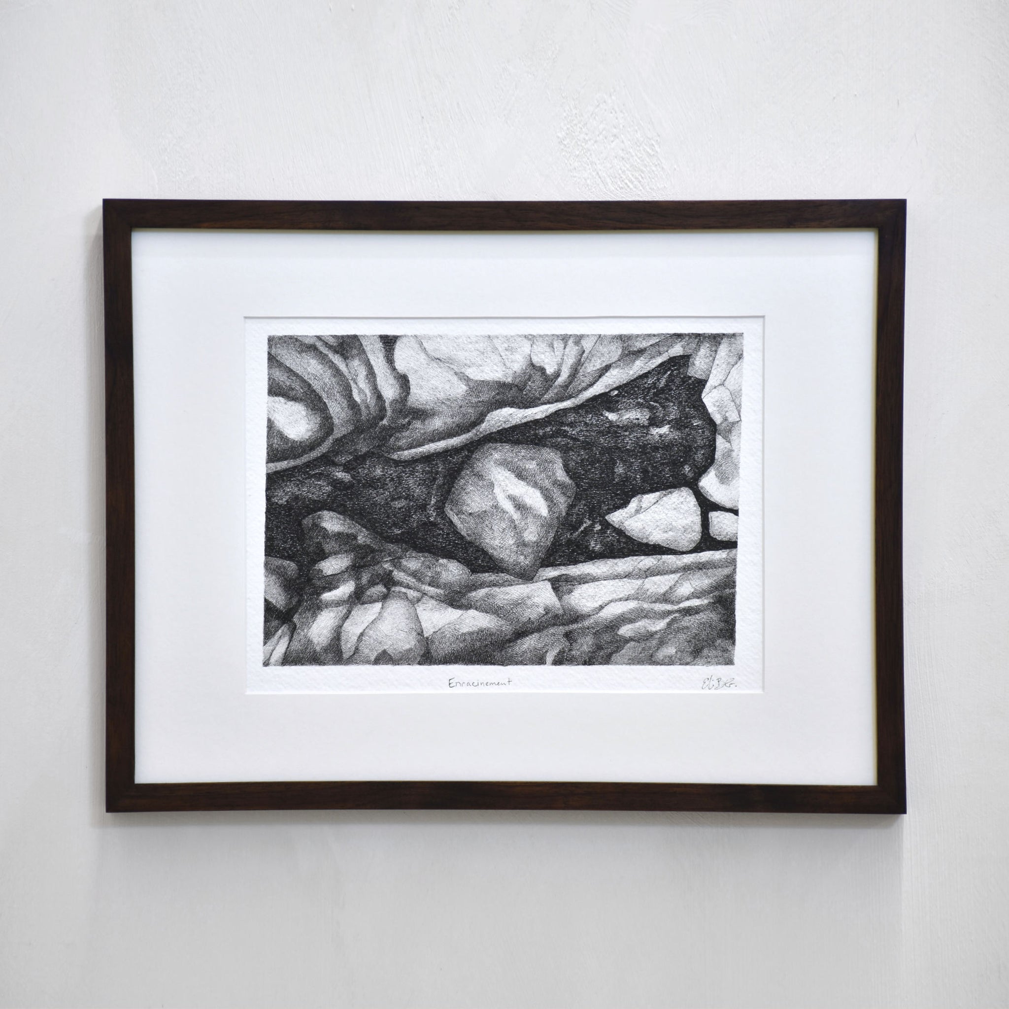 Enracinement, par Elisabeth Gravel. Dessin à l’encre noire sur papier, composition de rochers.