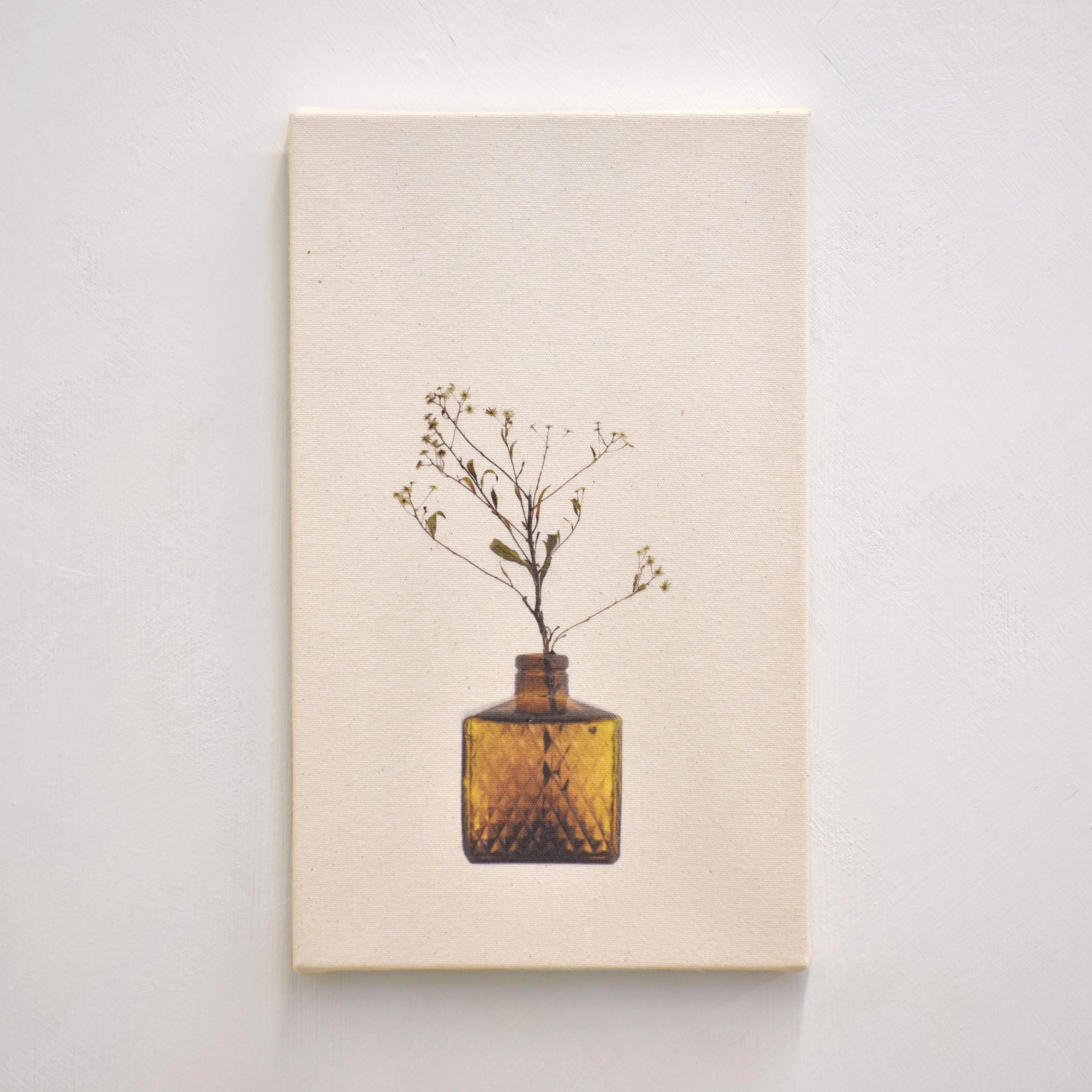 Épervière jaune, par Caroline Bolieu. De sa série du Cabinet des fleurs. Photographie d’une tige séchée d’épervière jaune dans un vase ambré. Tirage unique.