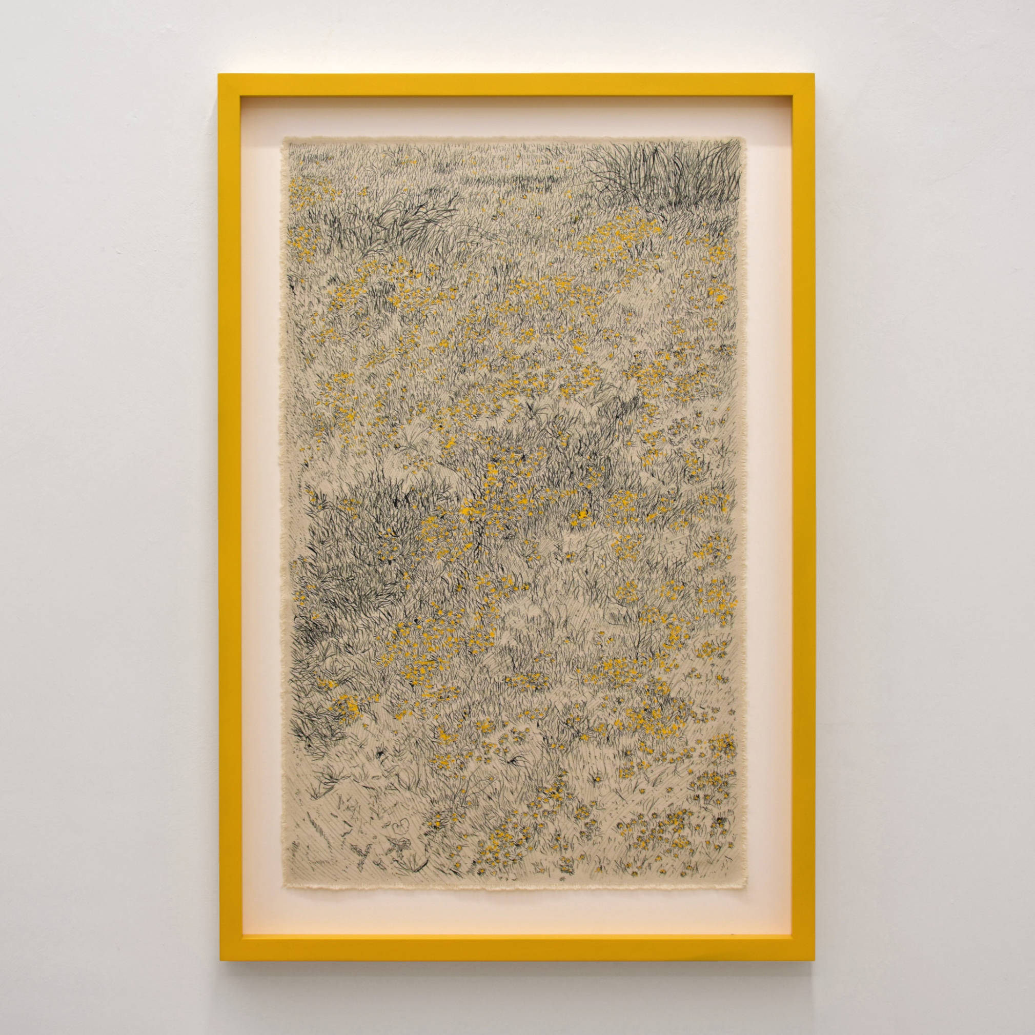 Fossé fasse au fleuve III de Karine Locatelli, encre de chine et gouache acrylique sur toile naturelle, 24” x 36” avec cadre jaune, 2024. Composition de fleurs jaunes.