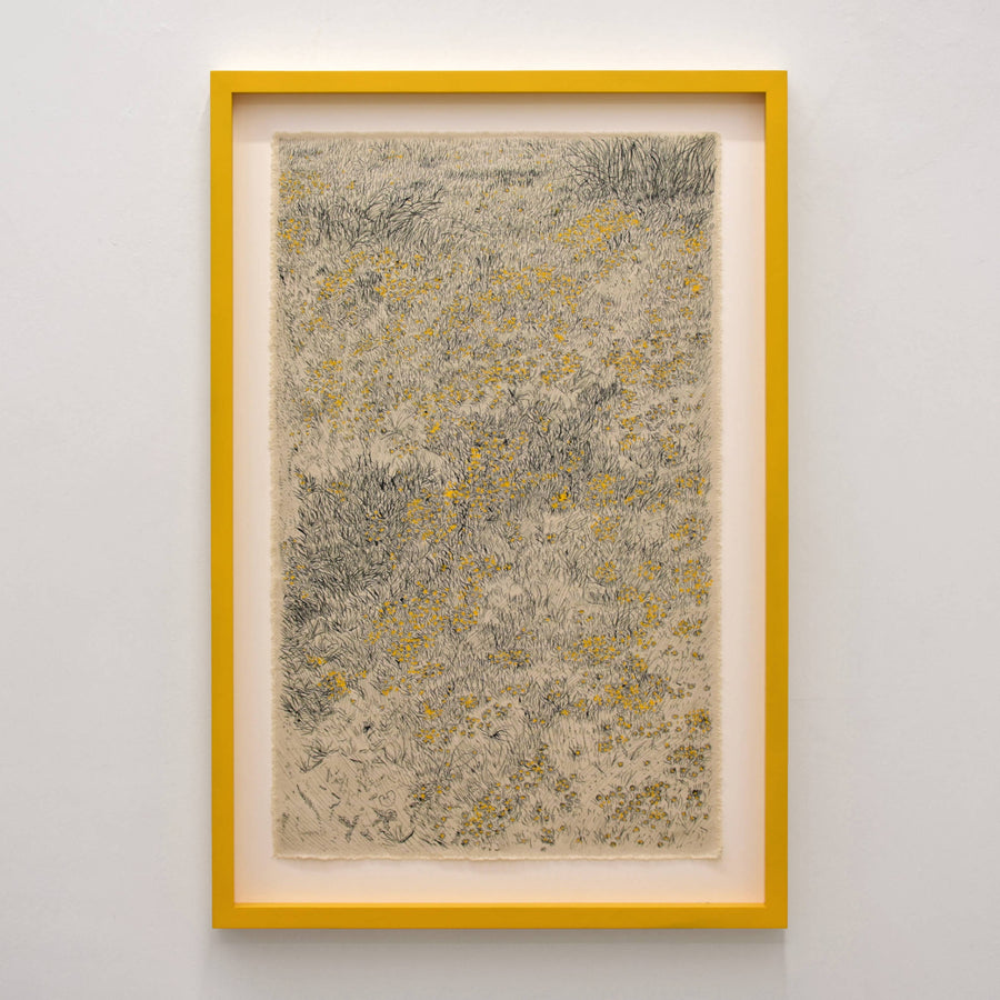 Fossé fasse au fleuve III de Karine Locatelli, encre de chine et gouache acrylique sur toile naturelle, 24” x 36” avec cadre jaune, 2024. Composition de fleurs jaunes.