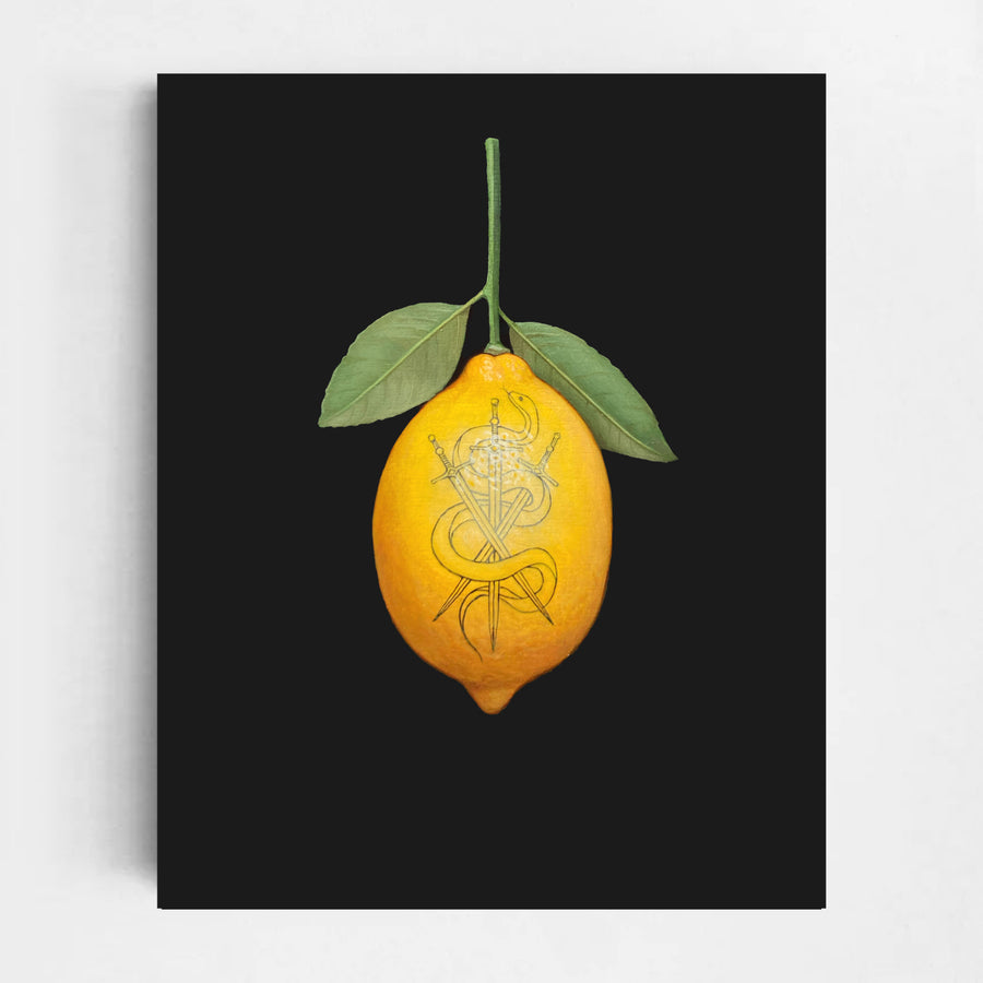 Fruit Skin n° 3, par Émile Brunet. Huile sur panneau de bois, 8” x 10”, 2024. Nature morte hyperréaliste d’un citron sur fond noir. Tatouage d’un serpent avec épées.