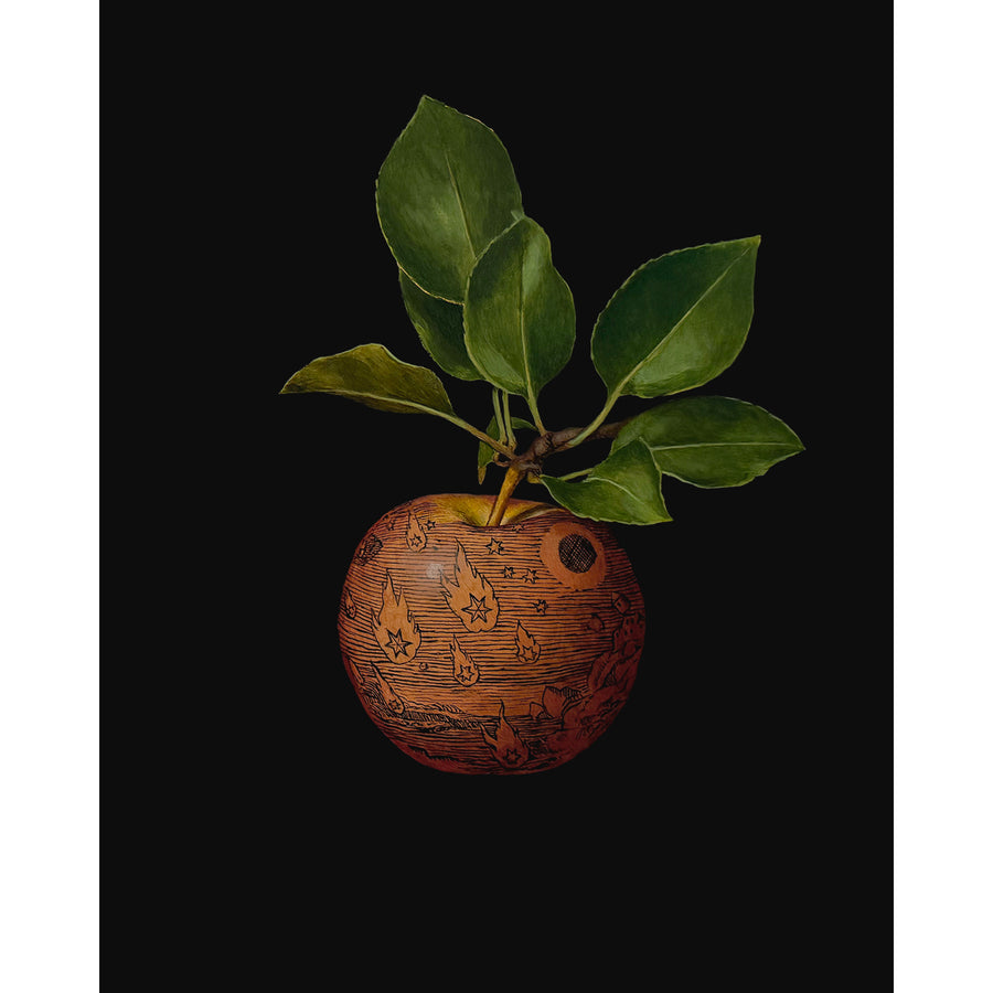Fruit Skin n° 10 — 8” x 10”