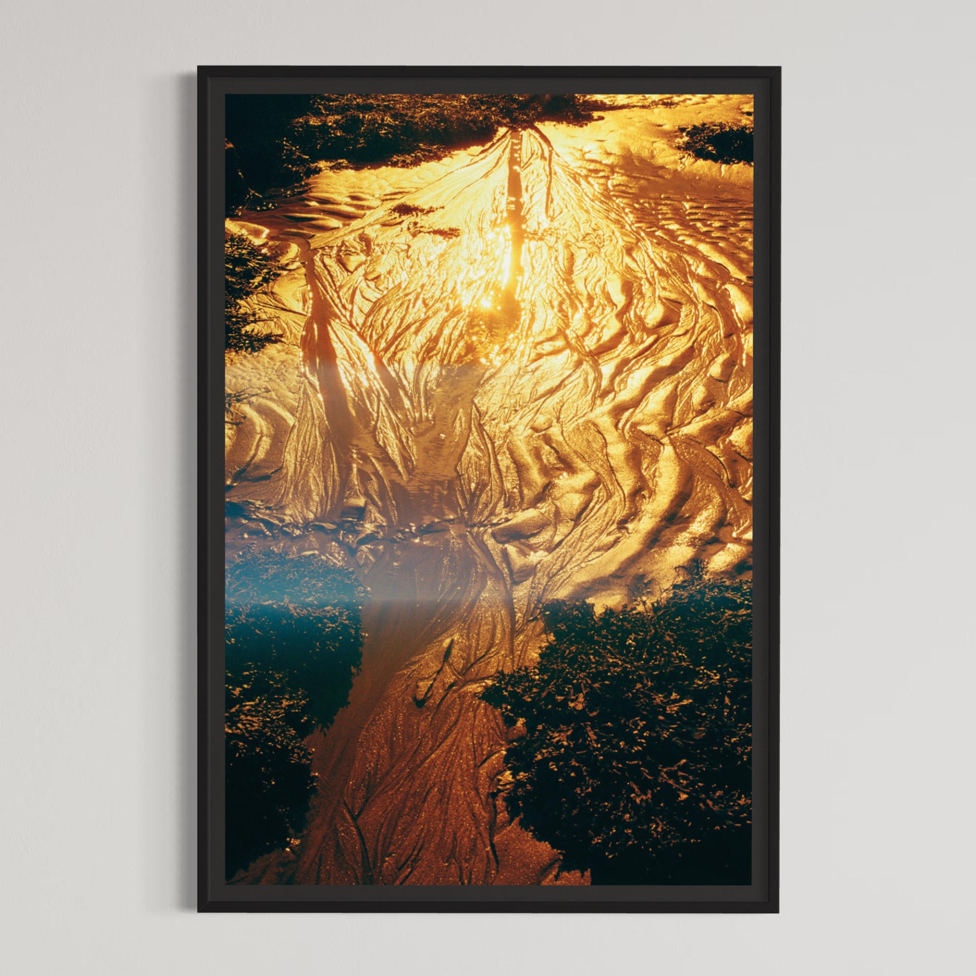 Gingko marin, par Éva-Maude TC. Photographie contemporain sur pellicule 35 mm. Lumière dorée du soleil sur le sable à marée basse. Encadrement noir.