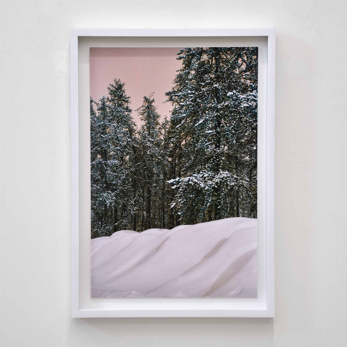 Gourmandise I, par Éva-Maude TC. Photographie hivernale sur pellicule 35 mm. Épinettes sous du sucre blanc et neige en meringue. Ciel rose, cadre blanc.