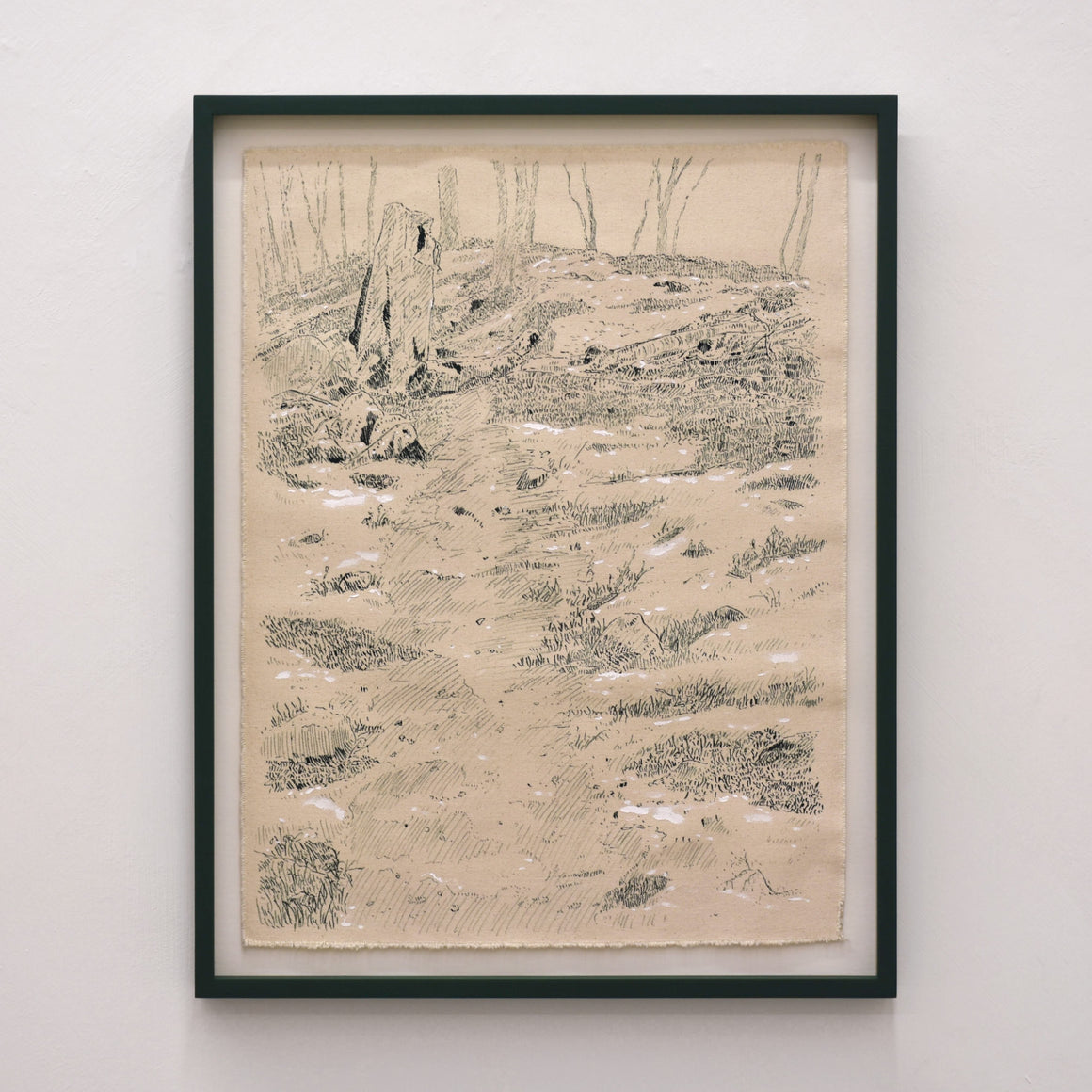 Jardin racine II — 21” x 26,75”