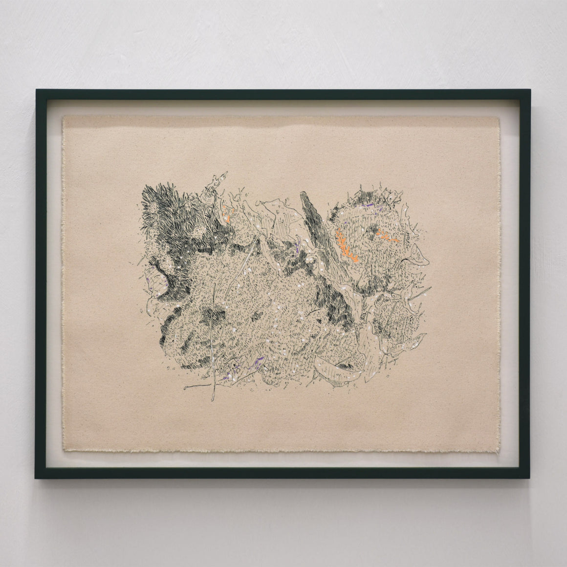 Jardin racine VIII — 21” x 26,75”