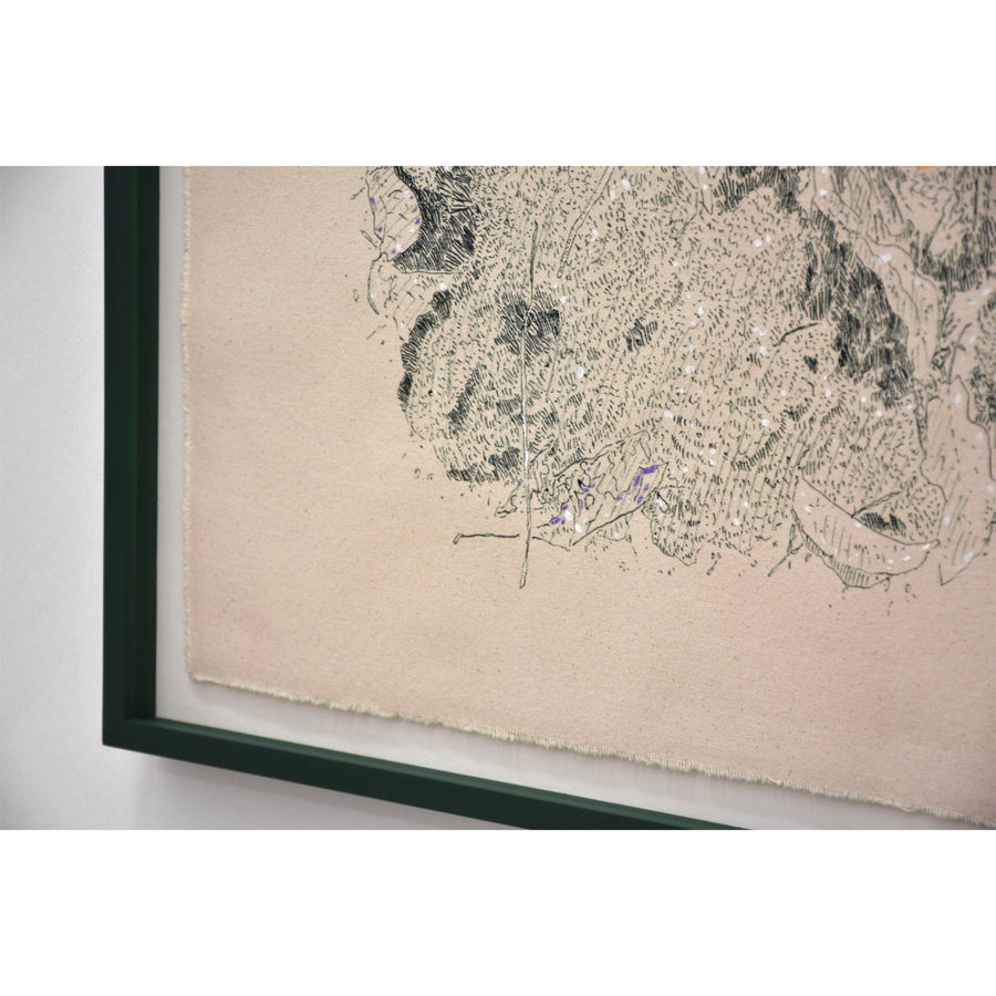 Jardin racine VIII — 21” x 26,75”
