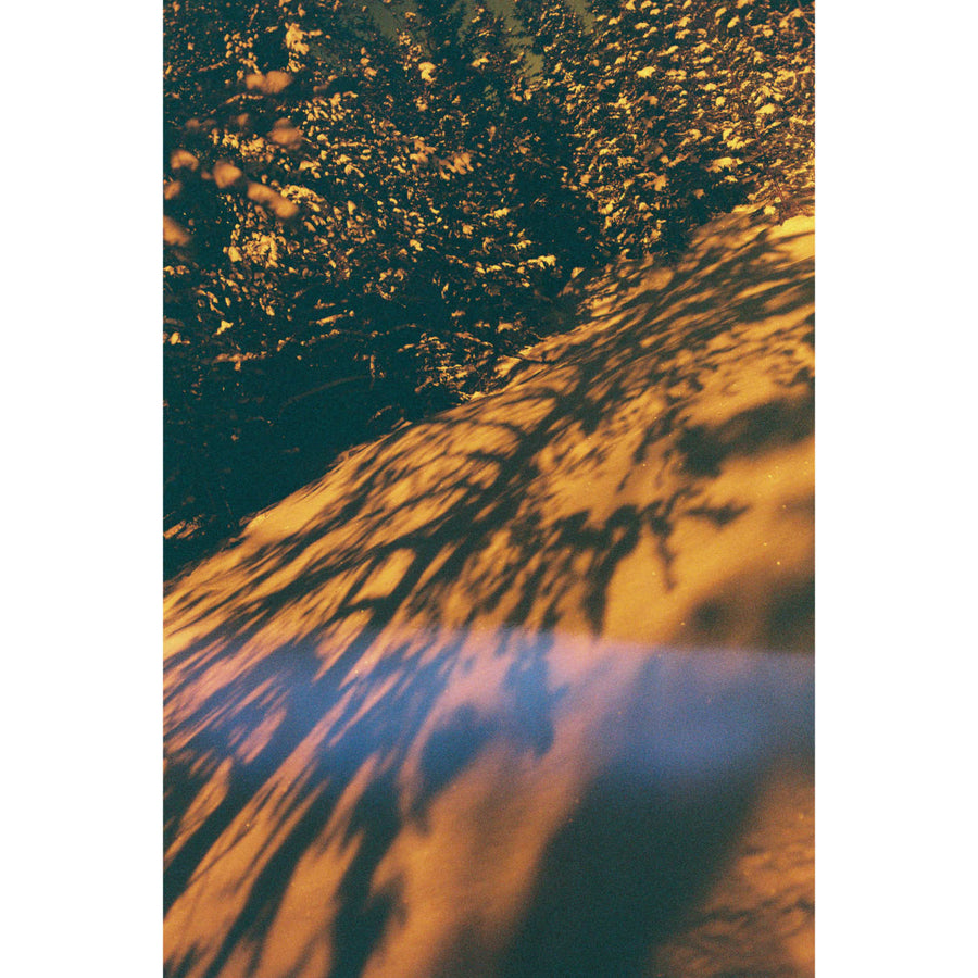 L’oranger mécanique, par Éva-Maude TC. Photographie sur pellicule 35 mm, décor hivernal, ombres dansantes des arbres sur la neige orangée.