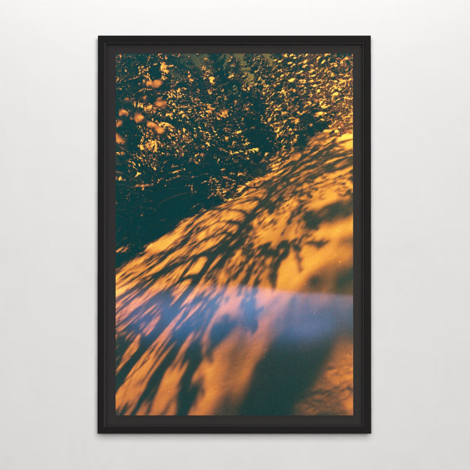 L’oranger mécanique, par Éva-Maude TC. Photographie sur pellicule 35 mm, décor hivernal, ombres dansantes des arbres sur la neige orangée.