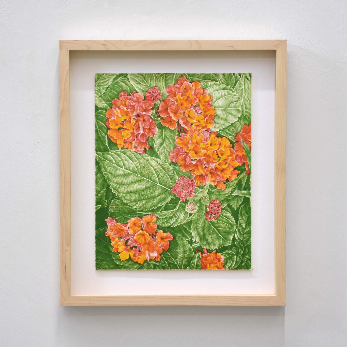 Lantana Camara, par Julie Bellavance. Lithographie, tirage limité. Dessin sur pierre imprimé en trois couleurs sur papier BFK Rives blanc. Fleurs oranges et feuillage vert.