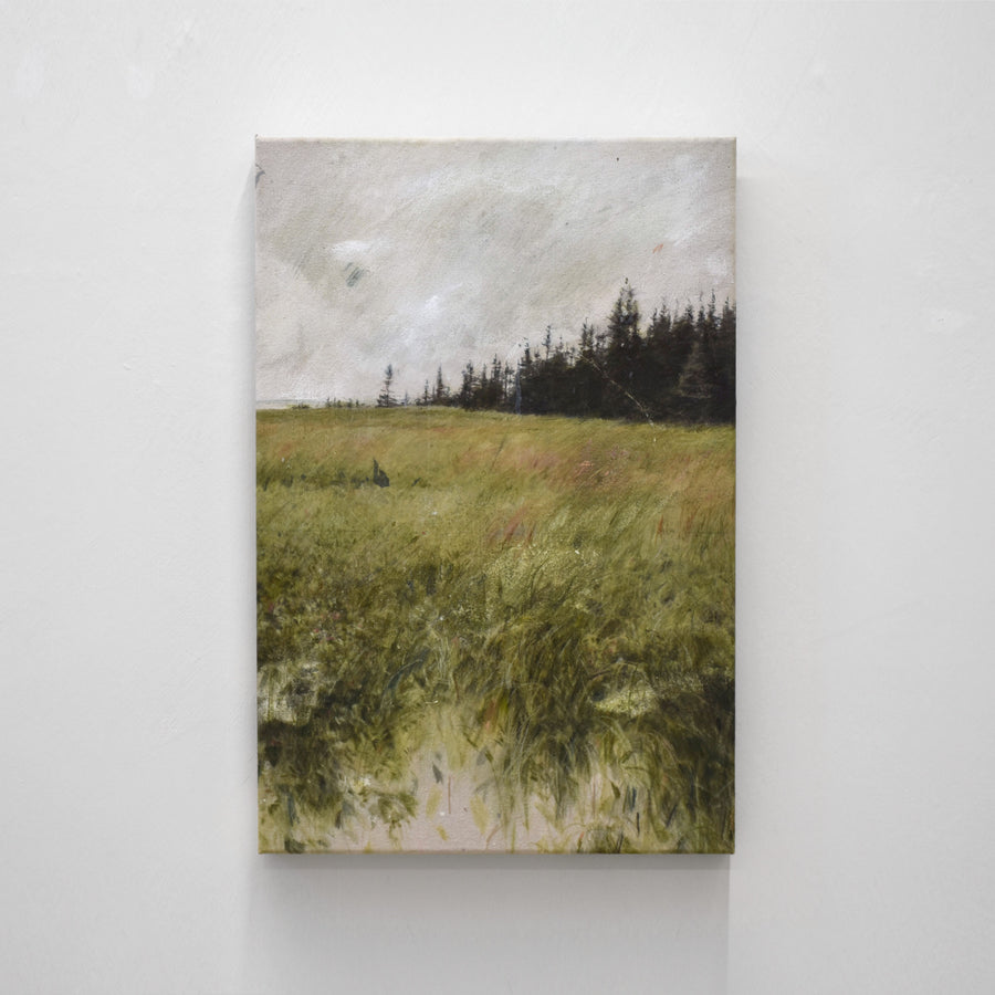 Petit format vertical de Chloé Giroux-Bertrand. Un champ verdoyant bordé par une forêt d’épinettes noires et le fleuve au loin.