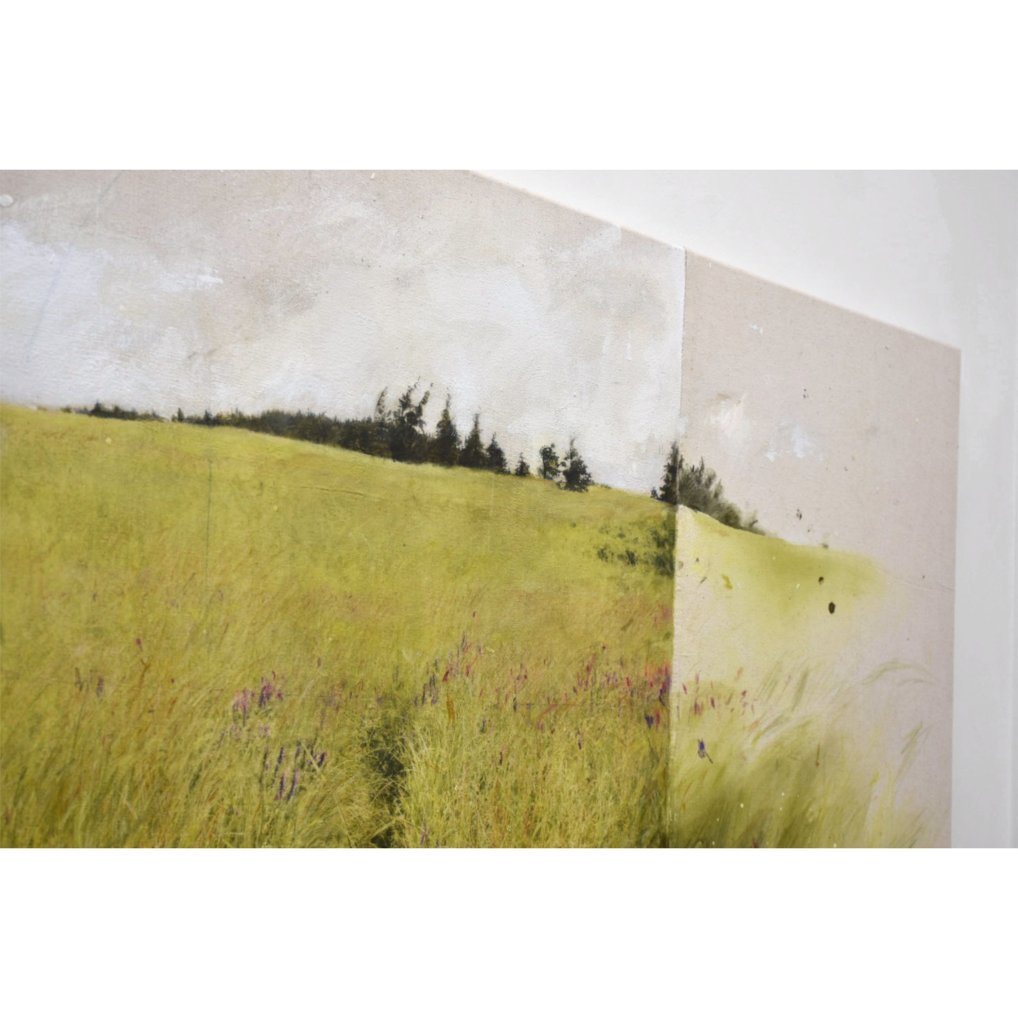 Le pré de la vieille maison - 48” x 72”