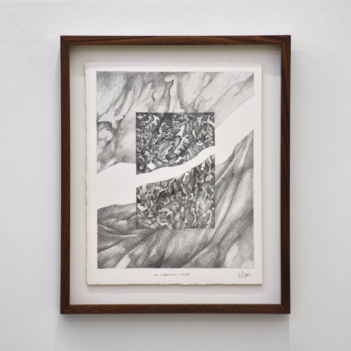 Les mécanismes naturels, par Elisabeth Gravel. Dessin unique et surréaliste. Composition presque abstraite. Monochrome sur papier Arches blanc.