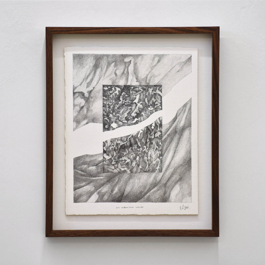 Les mécanismes naturels, par Elisabeth Gravel. Dessin unique et surréaliste. Composition presque abstraite. Monochrome sur papier Arches blanc.