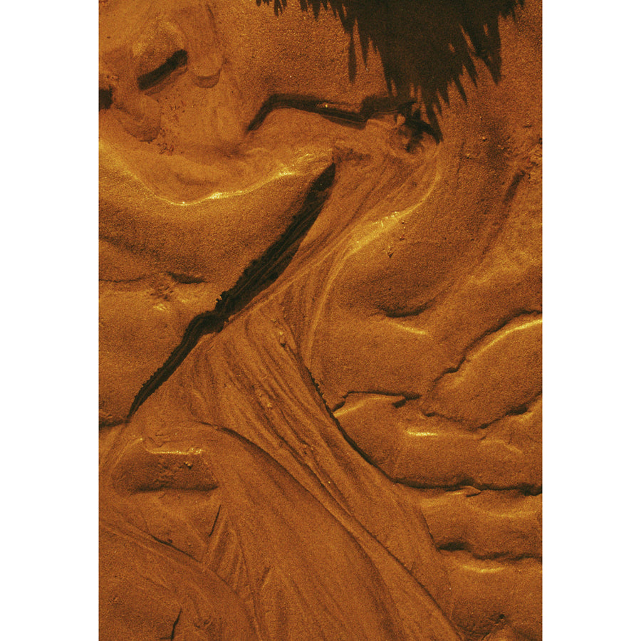 Les oiseaux de chaleur, par Éva-Maude TC. Photographie contemporaine sur pellicule 35 mm, 18” x 26”, tirage limité de 3 exemplaires. Lumière cuivre du soleil sur le sable à marée basse.