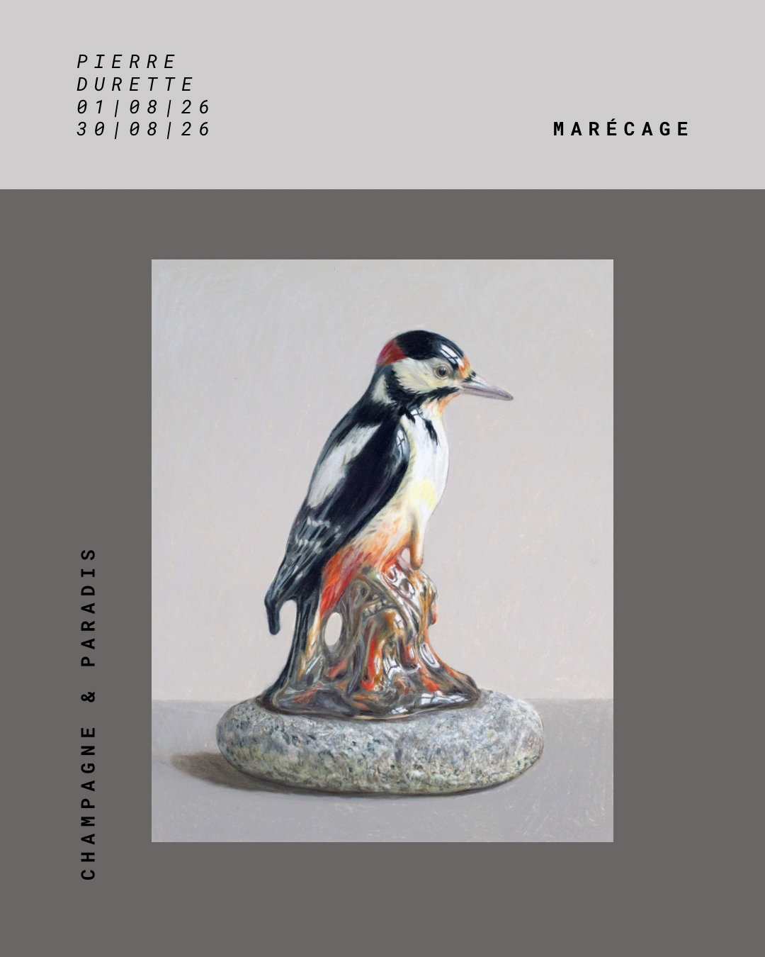Découvrez « Marécage », la nouvelle exposition solo de Pierre Durette à voir à Kamouraska du 1er au 30 août 2026.