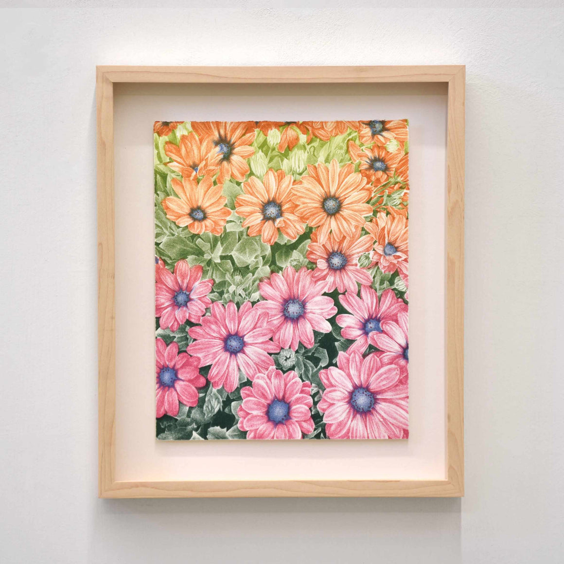 Marguerites du Cap II, par Julie Bellavance. Impression lithographique en trois couleurs de marguerites. Composition florale rose et orange.