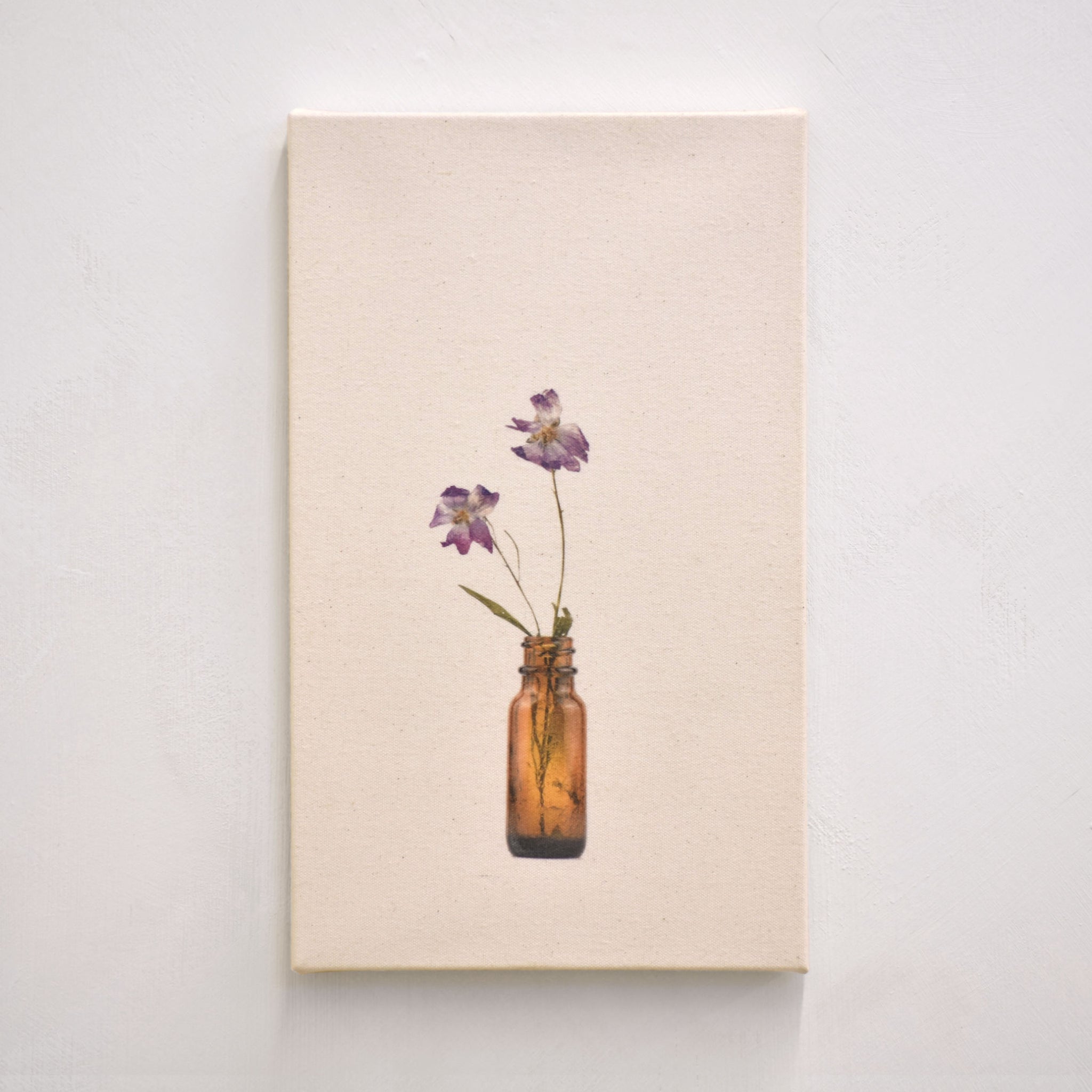 Mauve musquée, de Caroline Bolieu. De sa série du Cabinet des fleurs. Tirage unique de deux fleurs dans une fiole ambrée.