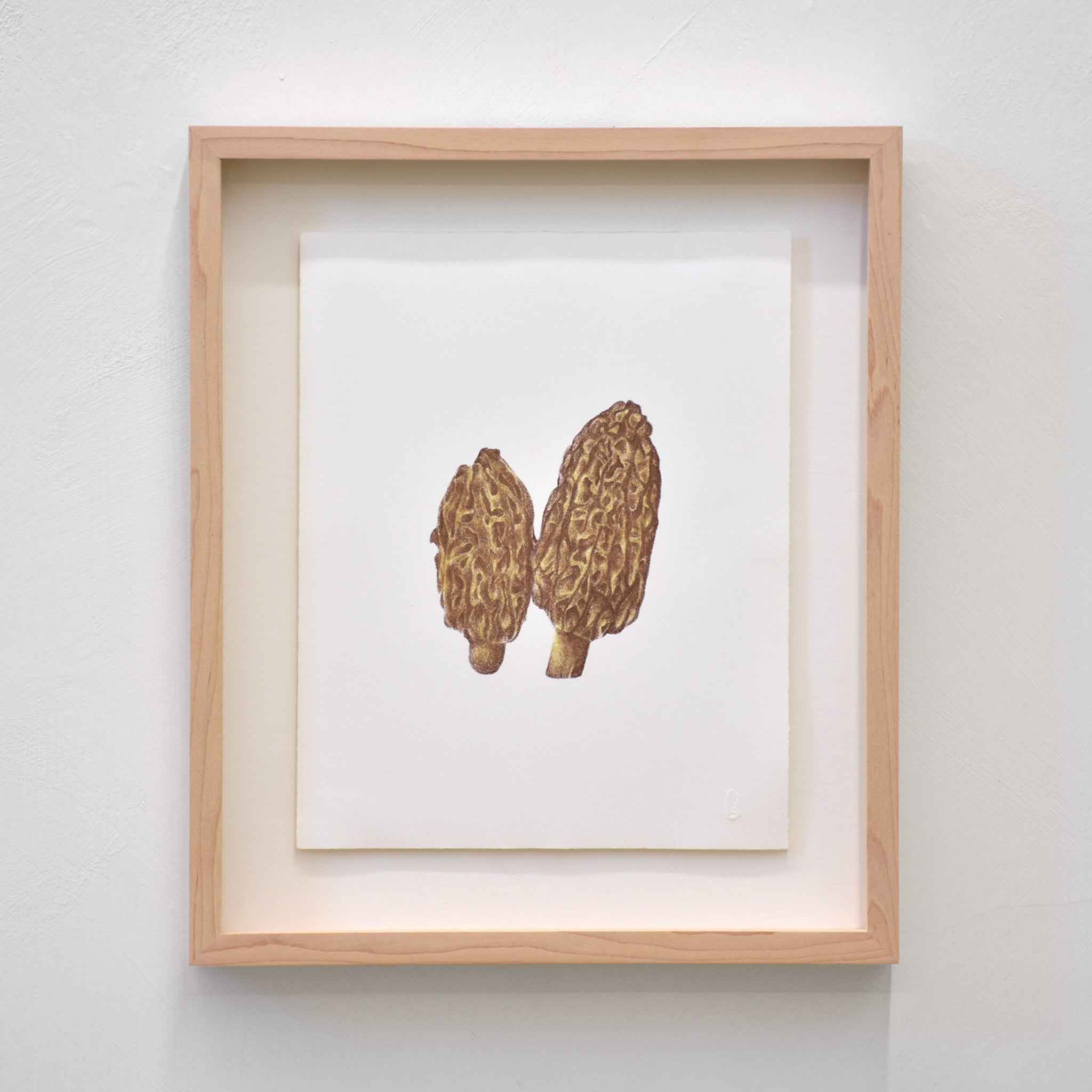 Les morilles, par Julie Bellavance. Dessin minimaliste de champignons. Lithographie originale, tirage limité. Encadrement en érable.