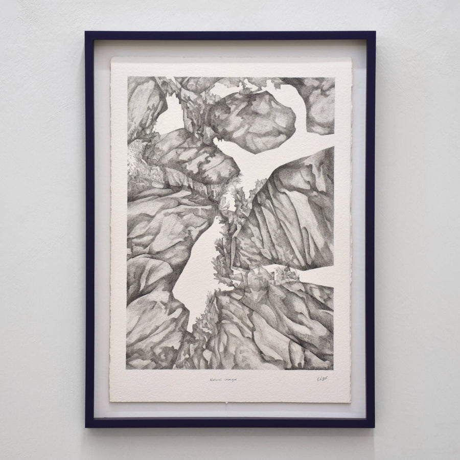 Naturel cosmique, par Elisabeth Gravel. Dessin abstrait de végétation et de rochers. Encre noire sur papier Arches. Cadre bleu foncé.