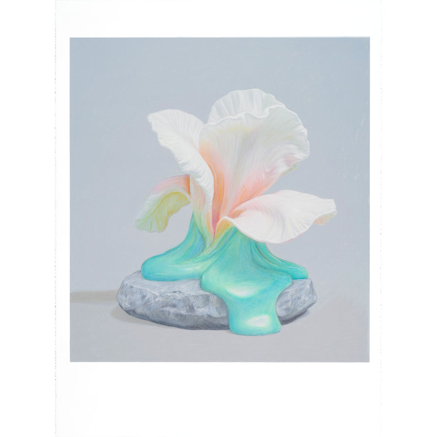 De la série O.V.M. (Organisme Vivant Modifié) de Pierre Durette, voici l’une des fleurs fondantes réalisées aux crayons de couleur sur papier Stonehenge.