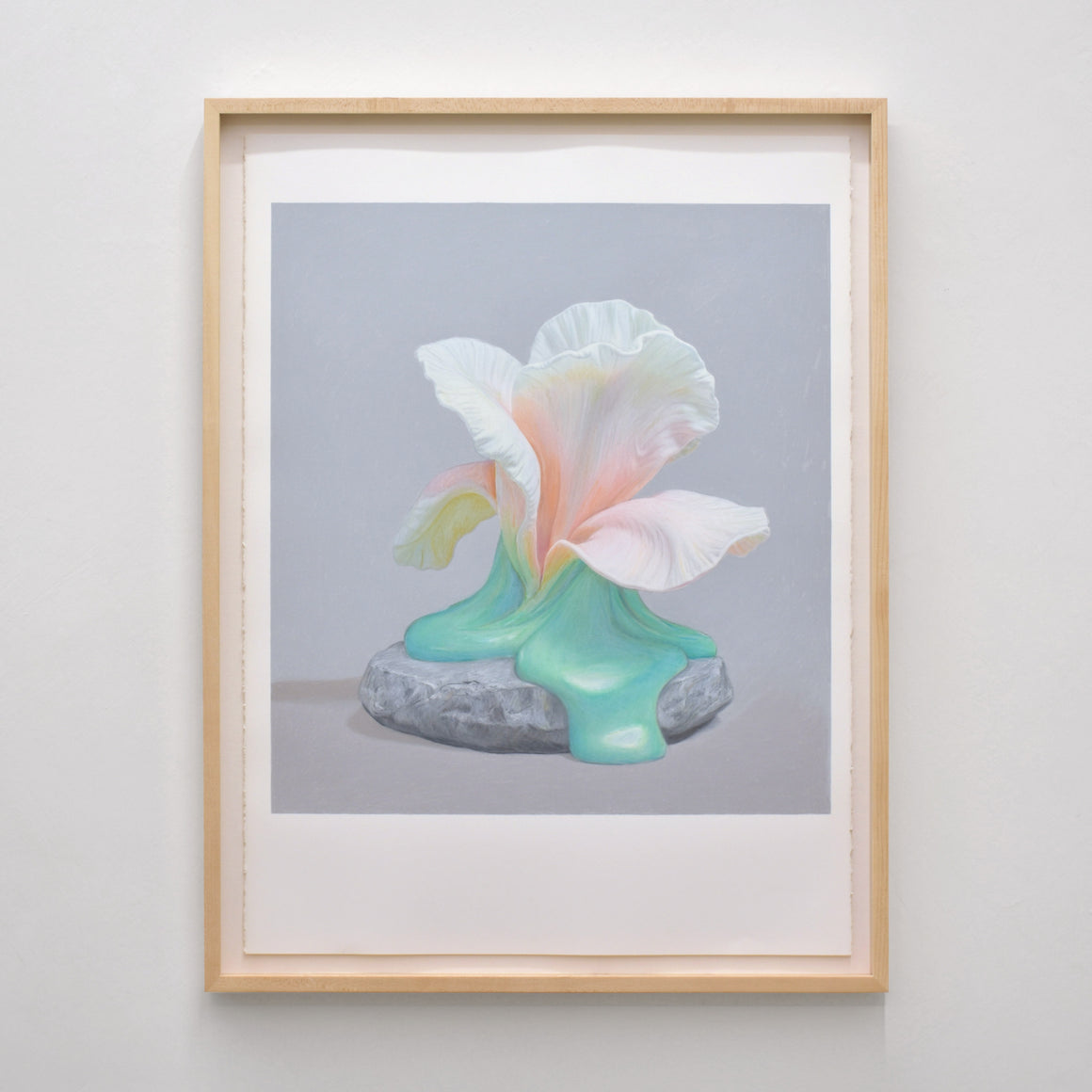De la série O.V.M. (Organisme Vivant Modifié) de Pierre Durette, voici l’une des fleurs fondantes réalisées aux crayons de couleur sur papier Stonehenge.