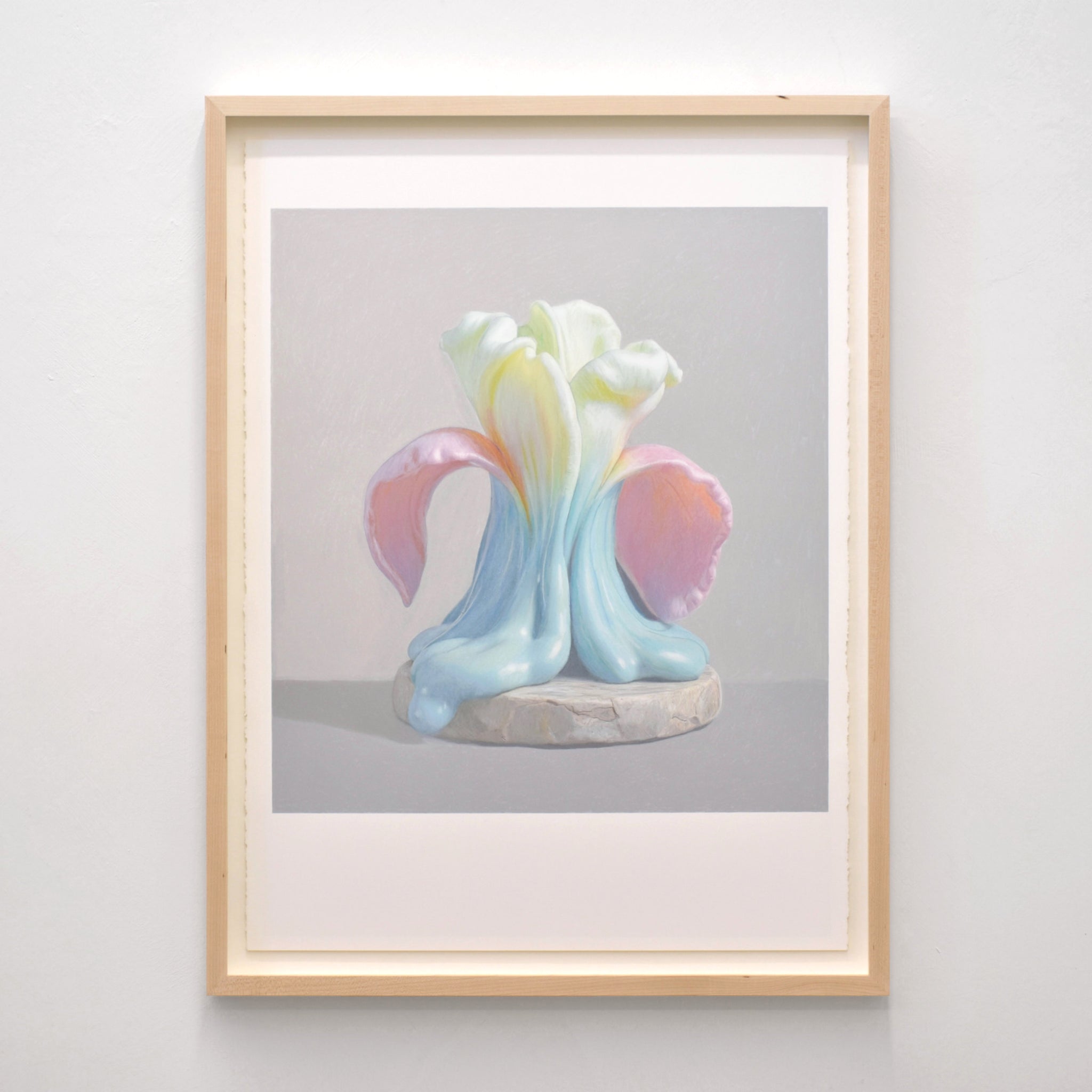 Par Pierre Durette, dessin aux crayons de couleur sur papier Stonehenge. Fleur fondante bleu, rose et jaune, sur socle.