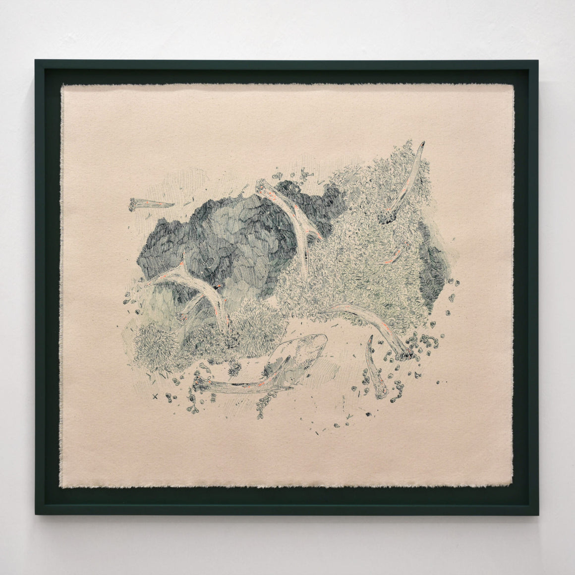 Panaches (cerfs d’Anticosti) — 32,25” x 36”