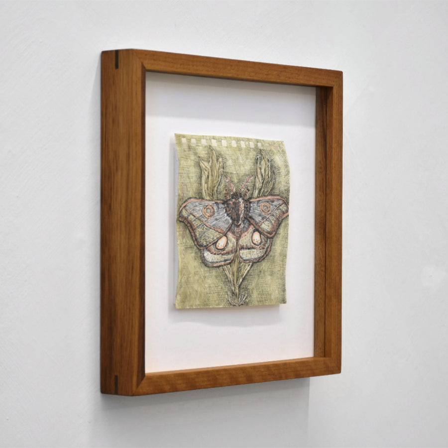 Dessin sur papier d’Andréanne Le. Hudon. Une fleur en forme de papillon sur fond vert. Encadrement en noyer.