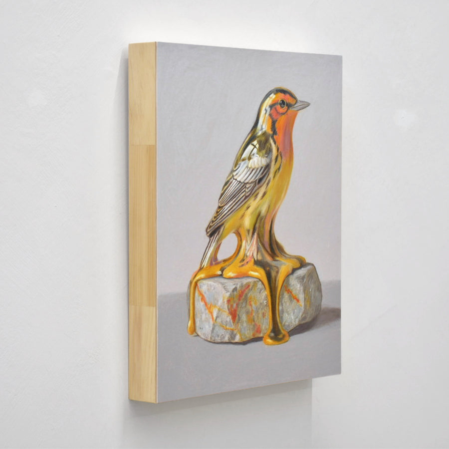 Dessin réalisé aux crayons de couleur par Pierre Durette et présenté dans le cadre de son exposition « Marécage ». Une paruline à gorge orangée en porcelaine sur une pierre.