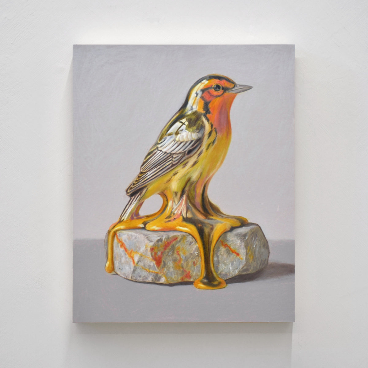 Dessin réalisé aux crayons de couleur par Pierre Durette et présenté dans le cadre de son exposition « Marécage ». Une paruline à gorge orangée en porcelaine sur une pierre.