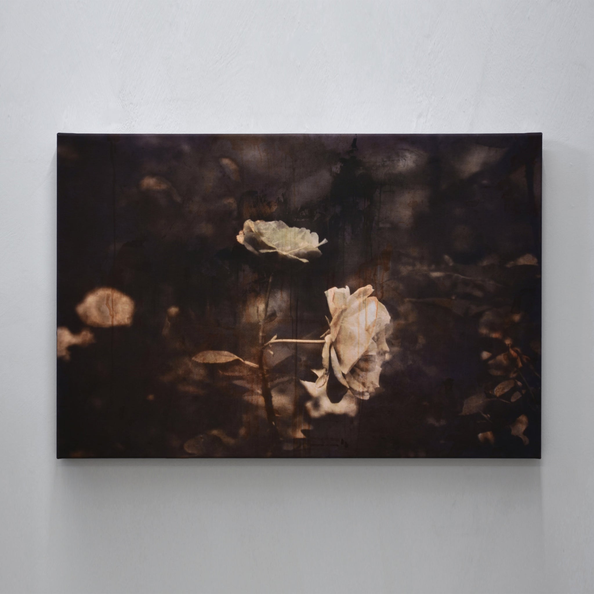 Tu portais ta robe de dentelle, impression à jet d’encre sur toile, tirage unique, 24” x 36”, 2024, par Caroline Bolieu. Œuvre photographique contemporaine en clair-obscur.