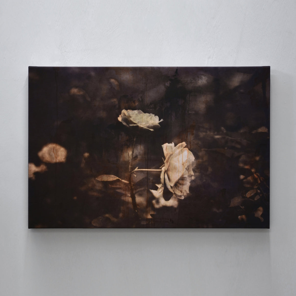 Tu portais ta robe de dentelle, impression à jet d’encre sur toile, tirage unique, 24” x 36”, 2024, par Caroline Bolieu. Œuvre photographique contemporaine en clair-obscur.