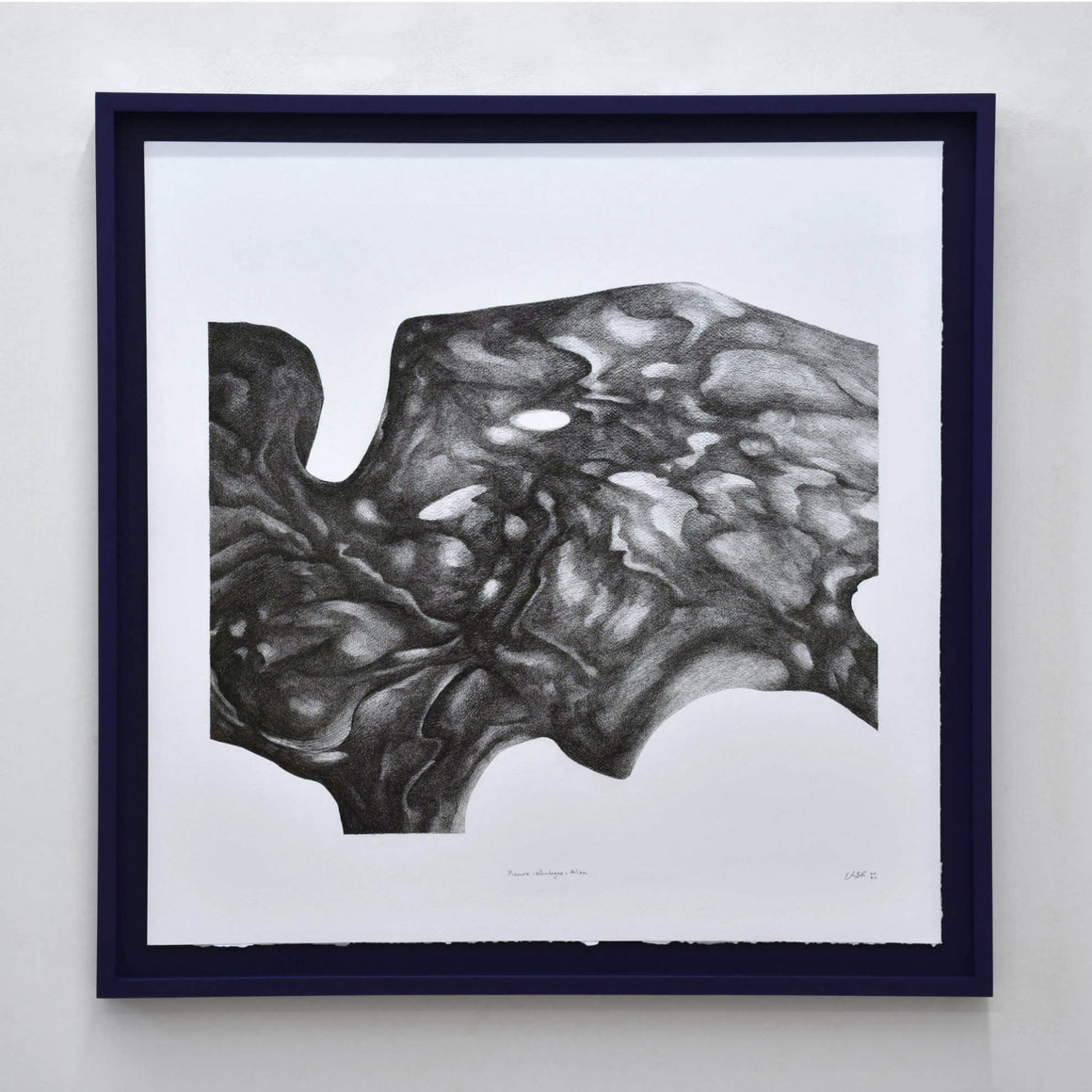 Pieuvre-montagne-alien, par Elisabeth Gravel. Composition monochromatique surréaliste. Pieuvre noire sur papier blanc. Cadre bleu foncé.