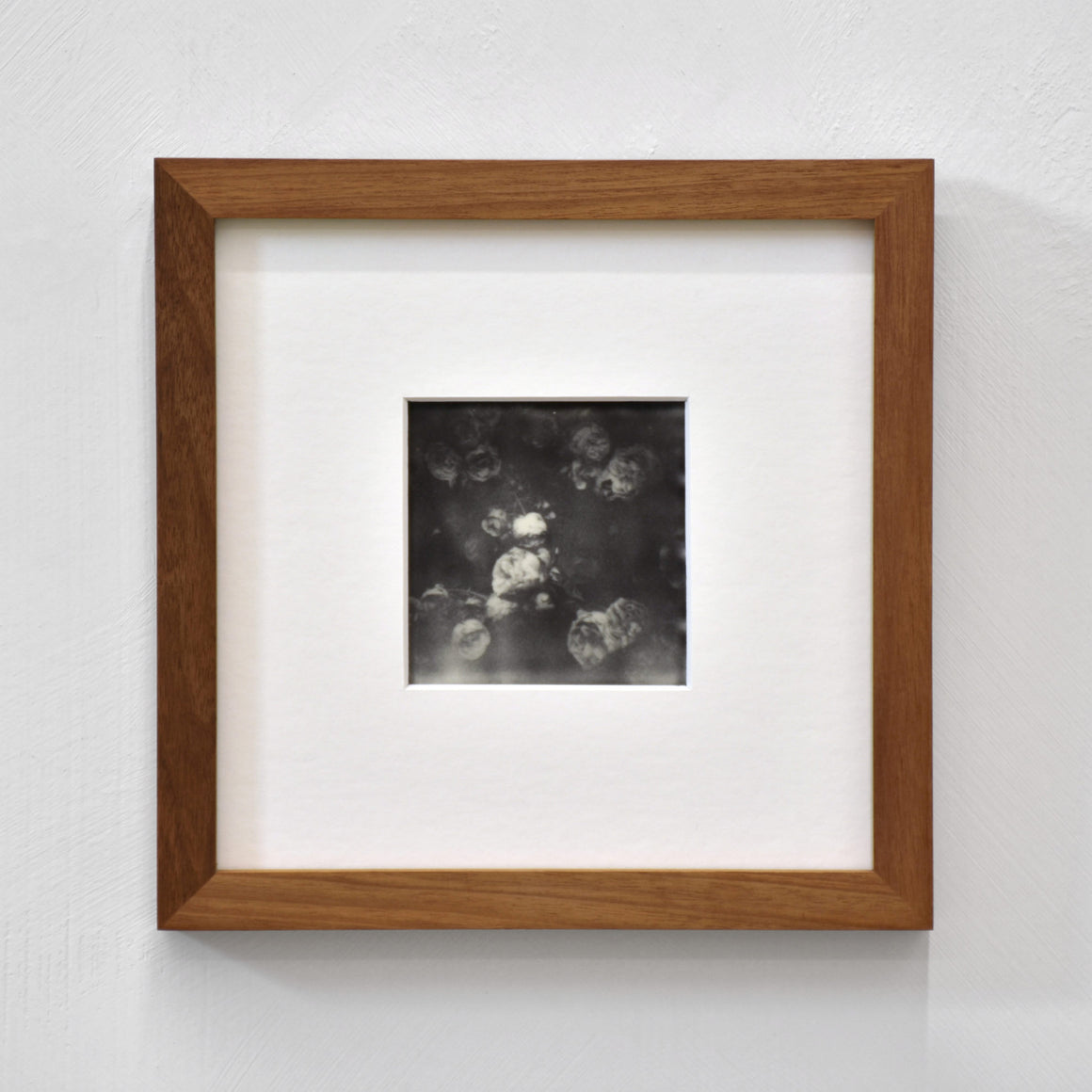 Les pivoines d’Odette, par Caroline Bolieu. Photographie unique sur fil polaroid en noir et blanc, 3” x 3”, 2024. Encadrement en noyer.