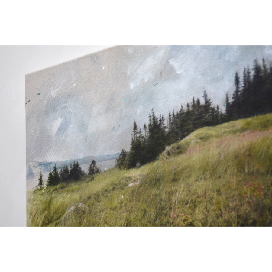 Intitulé Quatre-temps, ce tableau de Chloé Giroux-Bertrand représente un champ d’herbes et de fleurs, un horizon d’épinettes noires et le fleuve.